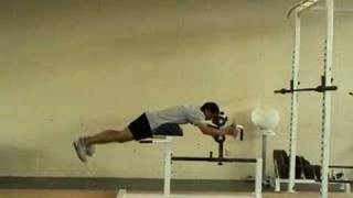 Bodyweight Reverse Hypers