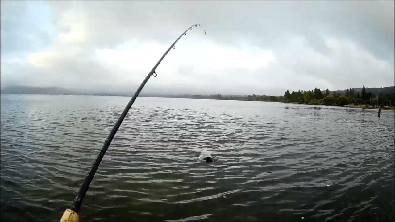 NEW ZEALAND TROUT FISHING GOLLY GOSH 7 YouTube