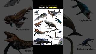 Download Lagu INILAH MONSTER LAUT YANG TERTANGKAP KAMERA #gudangit #facts MP3