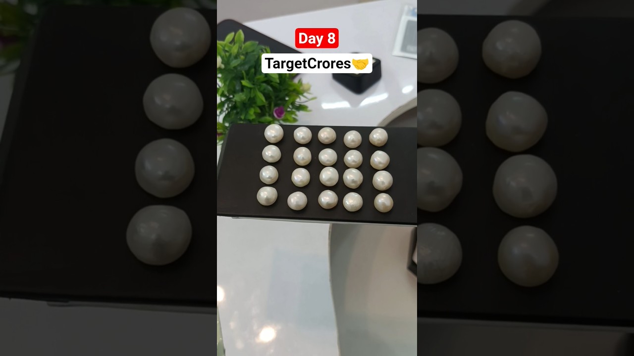 Day 8 Target Crores 💵 Will I Do This? 