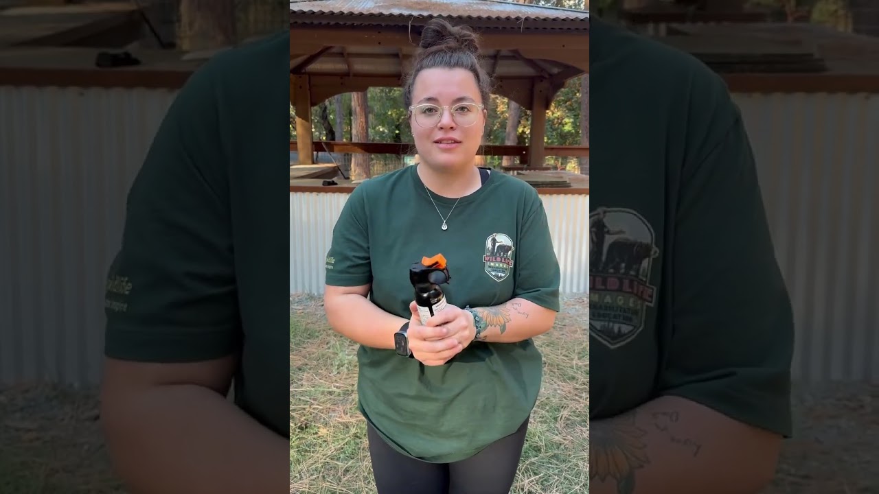 Bear Spray Training By Wes