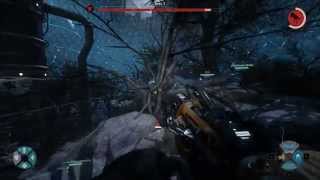 QA - Evolve (Big Alpha) - Tree Glitch