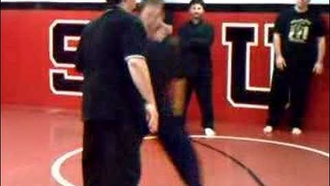 Baguazhang Hawk Catching Sparrow Palm Technique