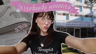 uma semana comigo na ufmg | study vlog, faculdade, estudos, dia a dia, motivação, organização