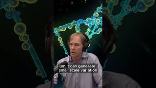 The Limits Of Neodarwinism: Stephen Meyer Discusses Evolutionary Debates Joe Rogan