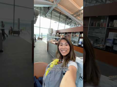 This Is How I Spent A 12 Hour Layover In Frankfurt Germany 