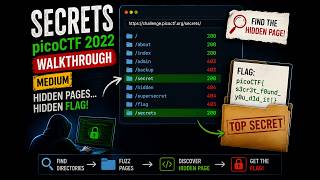 I Found the Hidden Page and Got the Flag! 🔎 | picoCTF Secrets
