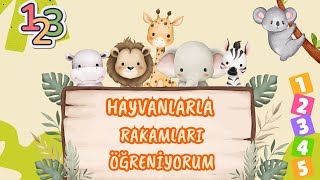 Hayvanlarla Saymayı Öğreniyorum Şarkısı Eğlenceli Bir Sayı Ve Hayvan Macerası