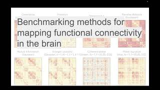 MLBBQ: Benchmarking methods for mapping functional connectivity in the brain by Pavel Popov