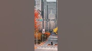 Free 🎁 100,000,000 wSHIBA