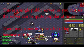 ROTMGTool - Realm of the mad god Private server