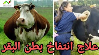 موضوع: انتفاخ البطن عند الأبقار، الأسباب، الأعراض و العلاج من طرف المستشار الفلاحي عبد الرزاق عنيترة