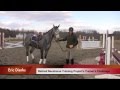 Part 2 of the Retired Race Horse Thoroughbred Training Project with Eric Dierks.