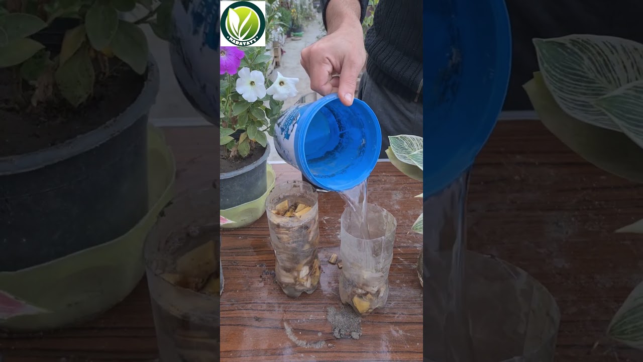 هتعمل سماد طبيعي لنباتاتك في المنزل 🌿🌸 #اشجار #اكسبلور #زراعة_الأسطح #plants