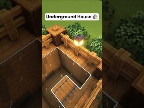 Minecraft Underground House Shorts