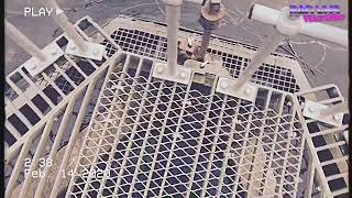 Rad Vhs Ducks Close Up