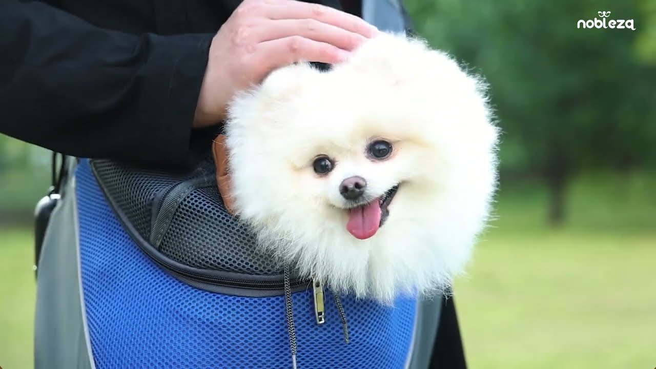 Liever Naar behoren Ik denk dat ik ziek ben Buikdrager voor honden L - verenadierenartikelen