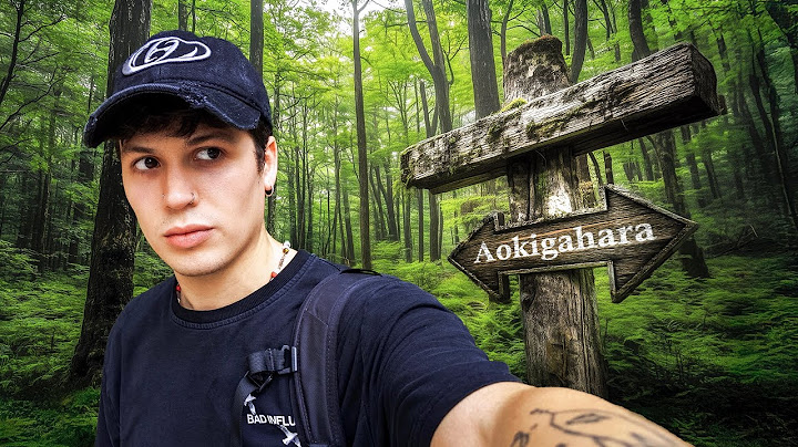I entered alone the darkest forest in Japan, Aokigahara