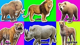 Learning Wild Animals Names and Sounds for kids in English Funny Lion Elephant Tiger Africa Zoo