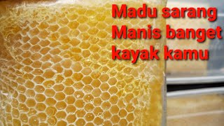 Review Madu sarang