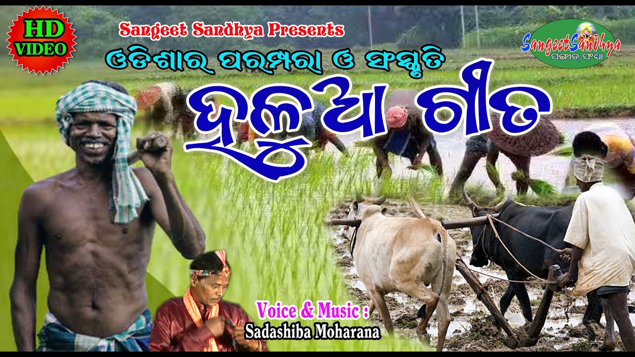 Halua Gita || Sadashiba Moharana || Odisha Culture || Odia Geeta || Gaon Song || Sangeet Sandhya