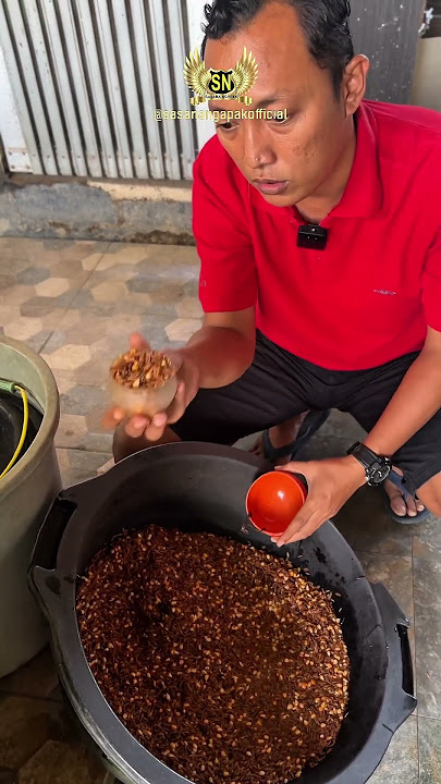 Pakan rawatan ayam sehari hari versi SN