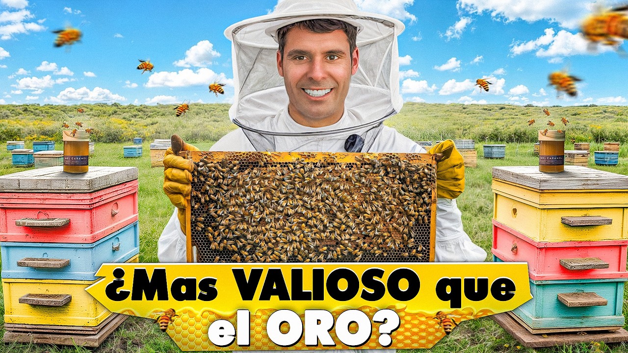 Así Funciona el Negocio de la Miel ¿Vale la Pena?