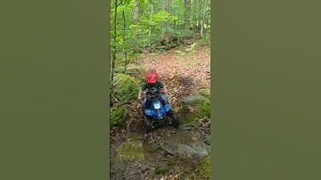 Can this 110CC Xpro Chinese ATV 4 wheeler go up on 3 wheels?