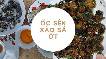 Hướng dẫn cách nấu ốc sên xào sả ớt || Ẩm Thực Tiền Ta Qua