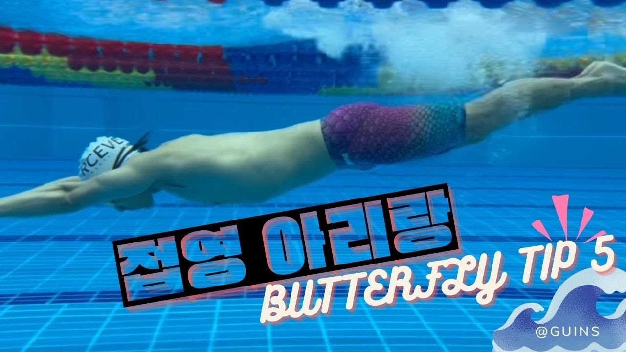 접영 아리랑 TIP