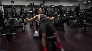 Standing incline dumbbell flys
