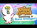 Finding a RARE Villager in Animal Crossing New Horizons