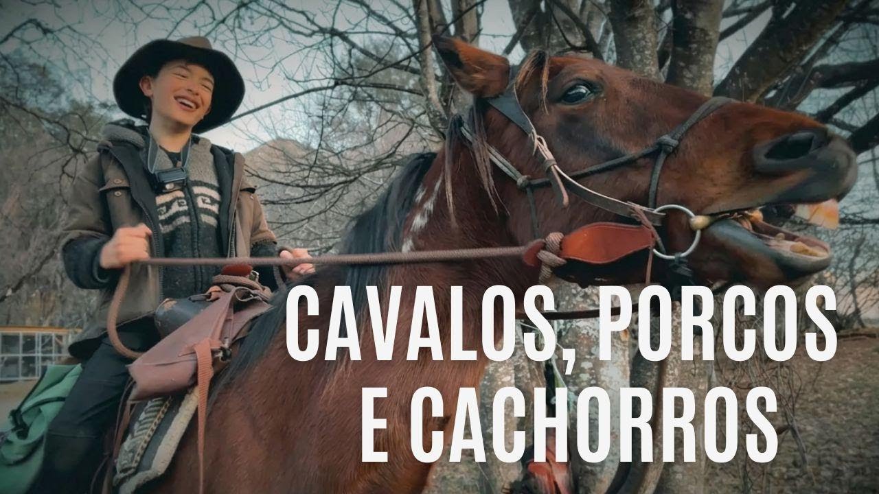 Cavalos, porcos, cachorros: acampando nas montanhas com Josh James, o Kiwi Bushman da Nova Zelândia