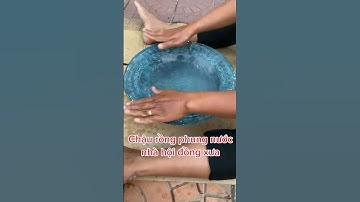 Chậu rồng phung nước #đồcổcầnthơ #phongthuy #dogothuhuyen #đồcổ