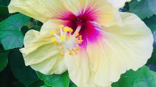 West New Britain PNG 2020 Scenes