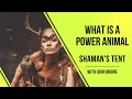 What is a power animal a shamanic teacher answers