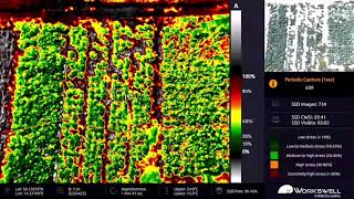 WIRIS Agro  - Over Crops