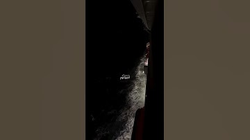 سورة العنكبوت الآية (58)