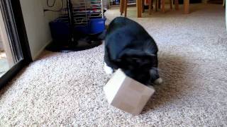 Ici Explores the Nip Box