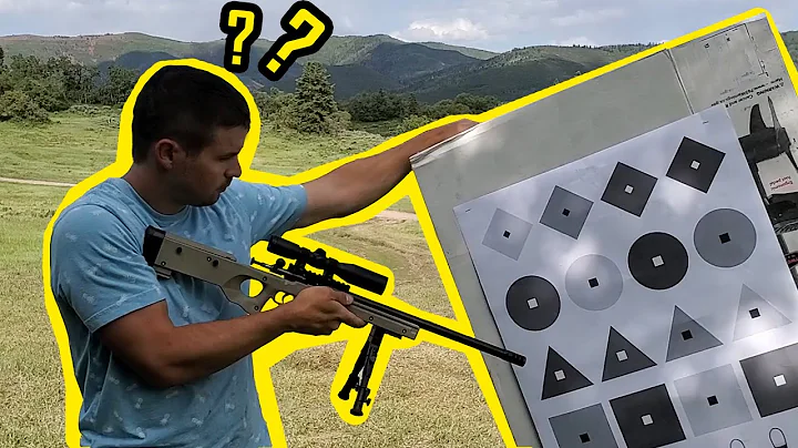 CRICKETT PRECISION RIFLE shot like that???