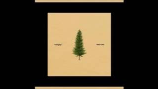 nobigdyl. - Tree Tops