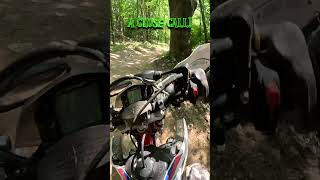 Watch For The Roots - Beta 350Rrs - Tall Pines Ny