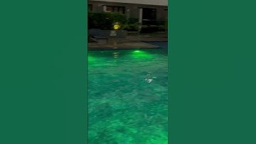 Thumbnail of Trending songs || trending shorts || swimming pool