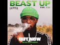 Skipper - Bully [AUDIO]