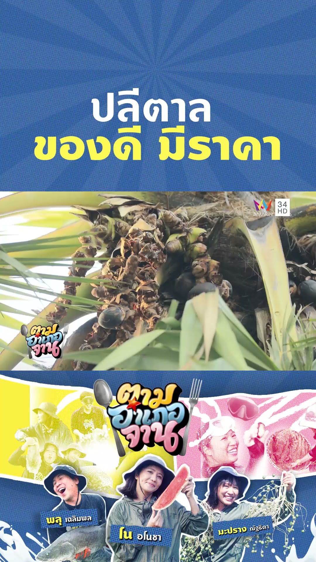 1 ปีมีครั้ง ปลีตาล ของดี มีราคา | ตามอำเภอจาน