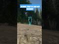 theHunter: Call of the Wild Moose love affair turns deadly