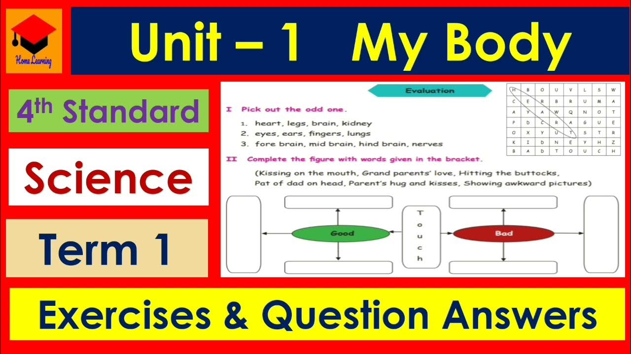 Answer the questions in exercise 1. Embedded questions: exercise.