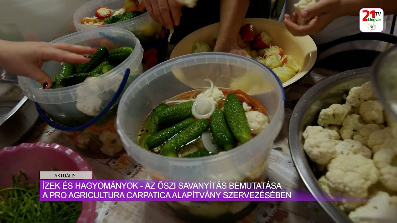 Aktuális (2025.10.17) - Savanyítás bemutatása a Pro Agricultura Carpatica Alapítvány szervezésében