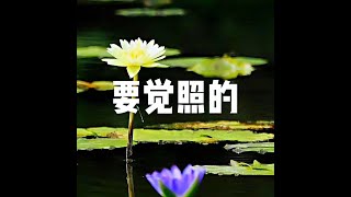 201509 要觉照的22018