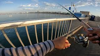 Fishing at Belmont Veterans Pier Long Beach CA.